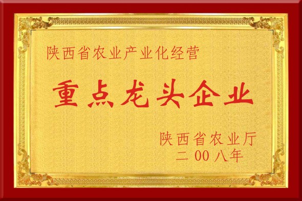 重点龙头企业